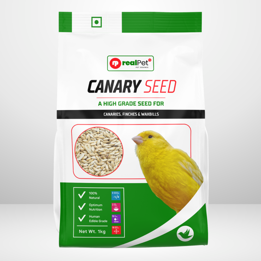 Canary Seed 1kg – Ideal for Budgies, Canaries, Finches & Wild Birds
