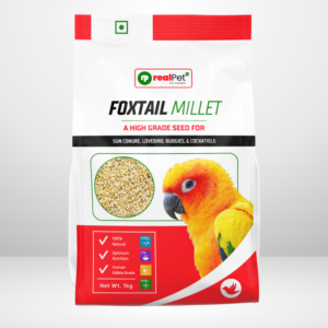 Foxtail Millet